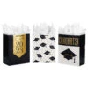 Hallmark 13" Assorted Grad Designs 3-Pack Large Gift Bags With Tissue Paper 1 Hallmark 13" Assorted Grad Designs 3-Pack Large Gift Bags With Tissue Paper -Hallmark Assorted Grad Designs 3Pack Large Gift Bags With Tissue Paper 5GBC1015 01