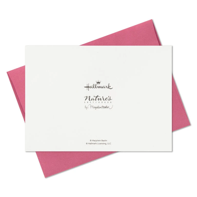 Hallmark Marjolein Bastin Assorted Blank Nature Note Cards In Caddy, Pack Of 24 11 Hallmark Marjolein Bastin Assorted Blank Nature Note Cards In Caddy, Pack Of 24 - Image 9