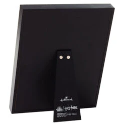 Hallmark Harry Potter™ Friendship And Bravery Hermione Granger™ Framed Quote Sign, 8x10 -Hallmark Black and Gold Books and Hermione Quote Framed Sign 1HPO1085 02