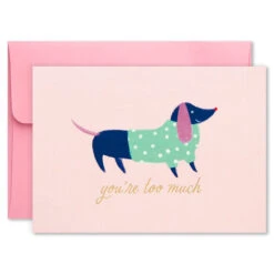 Hallmark Colorful And Fun Assorted Blank Note Cards, Box Of 24 -Hallmark Colorful and Fun Assorted Blank Note Cards 1SOM3811 08