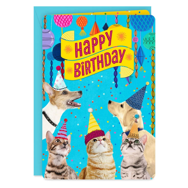Hallmark 16" Party Cats And Dogs Jumbo Birthday Card From All 3 Hallmark 16" Party Cats And Dogs Jumbo Birthday Card From All
