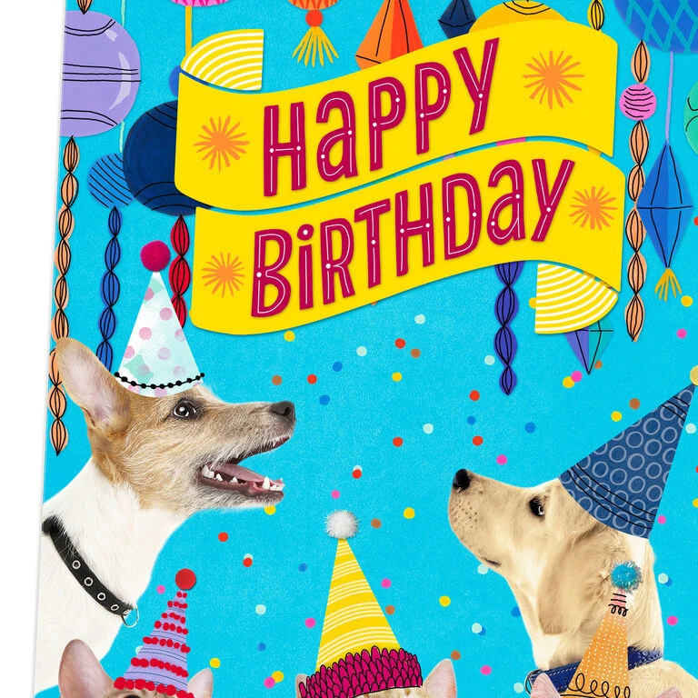 Hallmark 16" Party Cats And Dogs Jumbo Birthday Card From All 6 Hallmark 16" Party Cats And Dogs Jumbo Birthday Card From All - Image 4