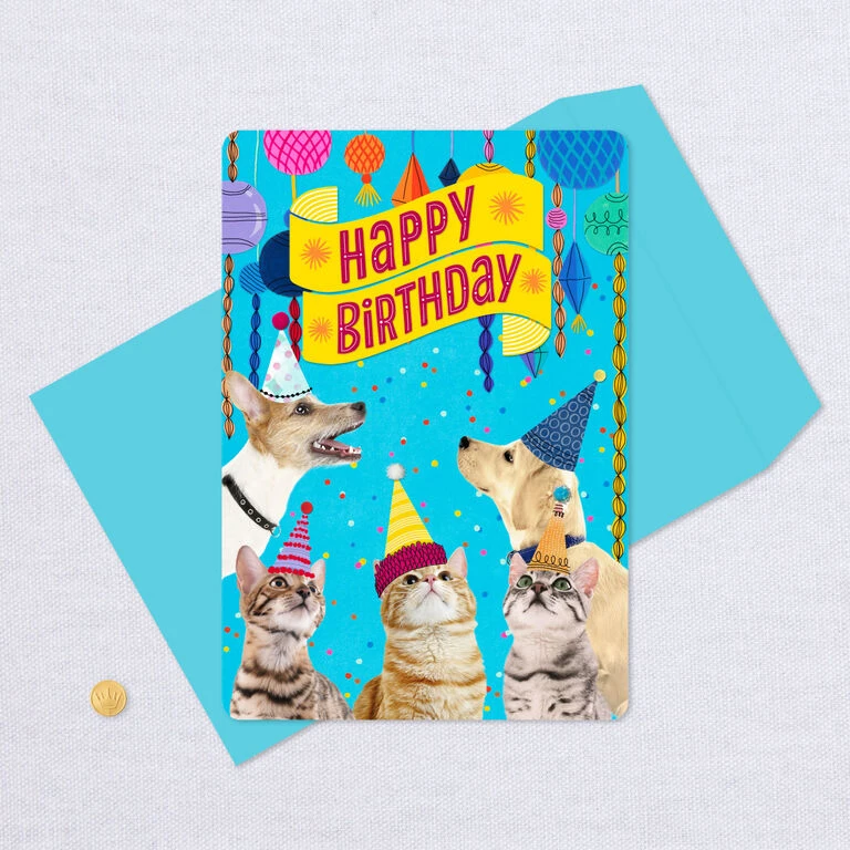 Hallmark 16" Party Cats And Dogs Jumbo Birthday Card From All 7 Hallmark 16" Party Cats And Dogs Jumbo Birthday Card From All - Image 5