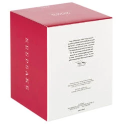 Hallmark The Peanuts® Gang Christmastime Is Here Musical Ornament With Motion -Hallmark Peanuts Gang Ice Skating Keepsake Ornament 3999QXI7037 05