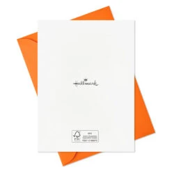 Hallmark Pet Puns Boxed Halloween Cards Assortment, Pack Of 48 -Hallmark Pet Puns Boxed Halloween Cards Assortment 5ELT1013 05