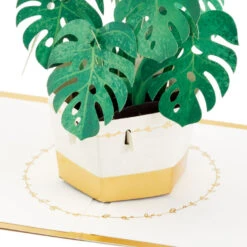 Hallmark Plant In Pot 3D Pop-Up Thinking Of You Card -Hallmark Plant in Pot 3D PopUp Thinking of You Card 1299LAD2900 03